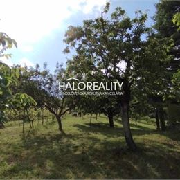 Predaj, rekreačný pozemok Krupina, Stará hora, povolenie stavby - EXKLUZÍVNE HALO REALITY