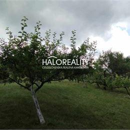 Predaj, rekreačný pozemok Krupina, Stará hora, povolenie stavby - EXKLUZÍVNE HALO REALITY