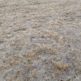 Predaj, rekreačný pozemok Nálepkovo, Zahájnicka cesta 760 m² - EXKLUZÍVNE HALO REALITY