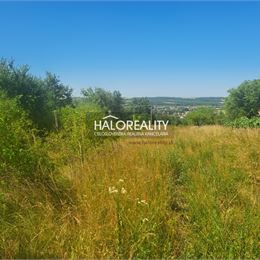 Predaj, záhradný pozemok 2529 m² Žemberovce - ZNÍŽENÁ CENA