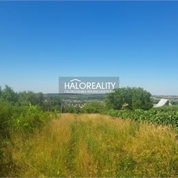 Predaj, záhradný pozemok 2529 m² Žemberovce - ZNÍŽENÁ CENA