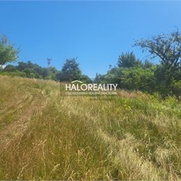 Predaj, záhradný pozemok 2529 m² Žemberovce - ZNÍŽENÁ CENA