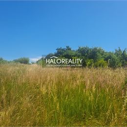 Predaj, záhradný pozemok 2529 m² Žemberovce - ZNÍŽENÁ CENA
