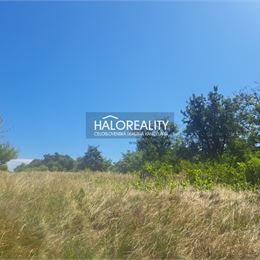 Predaj, záhradný pozemok 2529 m² Žemberovce - ZNÍŽENÁ CENA