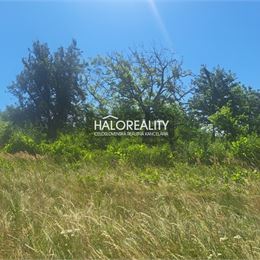 Predaj, záhradný pozemok 2529 m² Žemberovce - ZNÍŽENÁ CENA