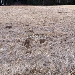 Predaj, rekreačný pozemok Nálepkovo, Zahájnická cesta 760 m² - EXKLUZÍVNE HALO REALITY