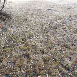 Predaj, rekreačný pozemok Nálepkovo, Zahájnická cesta 760 m² - EXKLUZÍVNE HALO REALITY