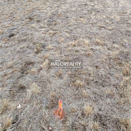 Predaj, rekreačný pozemok Nálepkovo, Zahájnická cesta 760 m² - EXKLUZÍVNE HALO REALITY