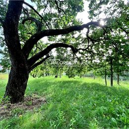 Predaj, rekreačný pozemok Levice, priestor pre váš aktívny relax v blízkosti mesta