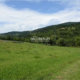 Predaj, rekreačný pozemok Hrabičov - EXKLUZÍVNE HALO REALITY