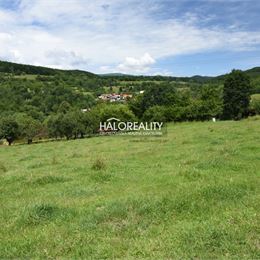 Predaj, rekreačný pozemok Hrabičov - EXKLUZÍVNE HALO REALITY
