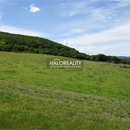 Predaj, rekreačný pozemok Hrabičov - EXKLUZÍVNE HALO REALITY