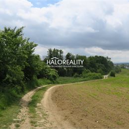 Predaj, orná pôda 3203 m² Beluša - EXKLUZÍVNE HALO REALITY