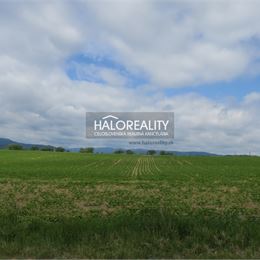Predaj, orná pôda 3203 m² Beluša - EXKLUZÍVNE HALO REALITY