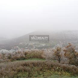 Predaj, rodinný dom Hrušov - EXKLUZÍVNE HALO REALITY