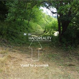 Predaj, pozemok 4993 m² Hrušovo, Striežovce - ZNÍŽENÁ CENA - EXKLUZÍVNE HALO REALITY + VIDEOOBHLIADKA