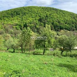Predaj, pozemok 4993 m² Hrušovo, Striežovce - ZNÍŽENÁ CENA - EXKLUZÍVNE HALO REALITY + VIDEOOBHLIADKA