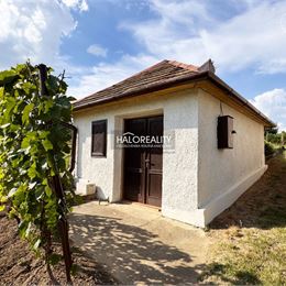 Predaj, chata Bátorove Kosihy, viničný domček, 620 kmeňov viniča - EXKLUZÍVNE HALO REALITY