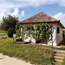Predaj, chata Bátorove Kosihy, viničný domček, 620 kmeňov viniča - EXKLUZÍVNE HALO REALITY