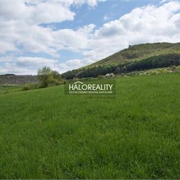 Predaj, rekreačný pozemok Tekovská Breznica - EXKLUZÍVNE HALO REALITY