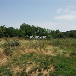 Predaj, záhradný pozemok 700 m² Dubník