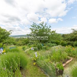 Predaj, záhradný pozemok 4064 m² Bratislava Lamač, záhradkárska osada Zlatá hora - EXKLUZÍVNE HALO REALITY