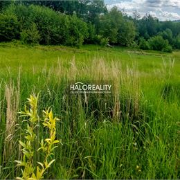 Predaj, pozemok pre rodinný dom 3600 m² Považská Bystrica, Orlové