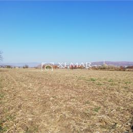 Na predaj slnečný rovinatý pozemok v obci Veľké Kozmálovce, okres Levice