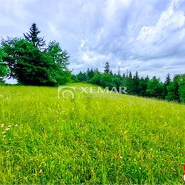 Predaj - pozemok Hriňová-Štoliansko