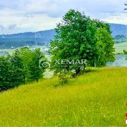 Predaj - pozemok Hriňová-Štoliansko