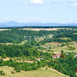 Predaj zrubu Rykynčice