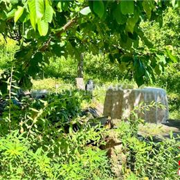 Predaj zrubu Rykynčice