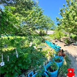 Predaj zrubu Rykynčice