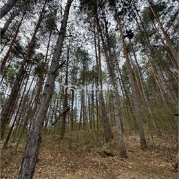 Na predaj záhrada s chatkou, Fončorda-BB