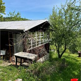 TOP PONUKA! PREDAJ - Pekná záhrada s chatkou na Tulskou, BB