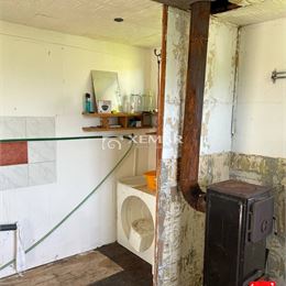 TOP PONUKA! PREDAJ - Pekná záhrada s chatkou na Tulskou, BB