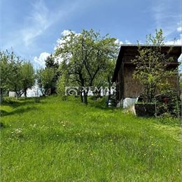 TOP PONUKA! PREDAJ - Pekná záhrada s chatkou na Tulskou, BB