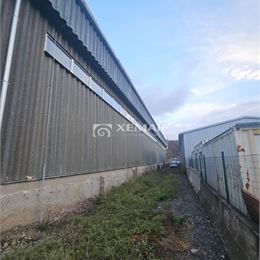 Pranájom hala Banská Bystrica