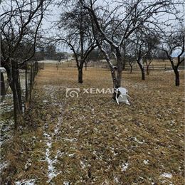 Predaj rodinný dom Banská Bystrica