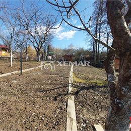 Záhrada v meste, Zvolen