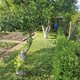 Predaj záhradná chata v obci Badín, Banská Bystrica