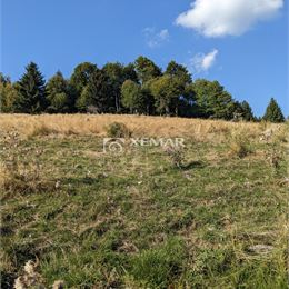 Na predaj pozemok v Hriňovej