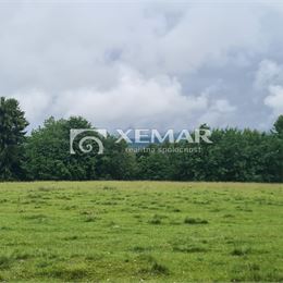 Na predaj pozemok v obci Detvianska Huta