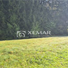 Na predaj pozemok pri lese v obci Detvianska Huta- Exkluzívne