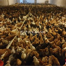 Na predaj poľnohospodárske budovy a pozemky v obci Turá