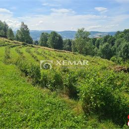 Na predaj čučoriedkový sad pod Poľanou - Exkluzívne, Znížená cena !!!