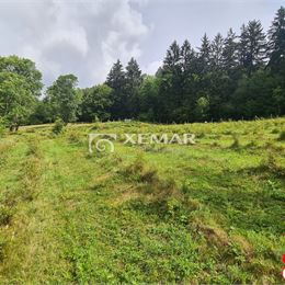 Na predaj čučoriedkový sad pod Poľanou - Exkluzívne, Znížená cena !!!