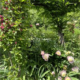 Na predaj záhrada v Banskej Bystrici, CENTRUM