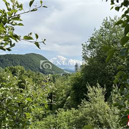 Na predaj záhrada v Banskej Bystrici, CENTRUM