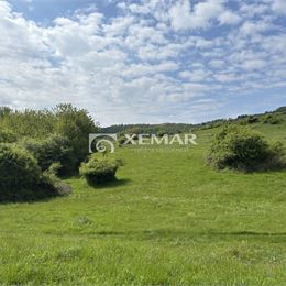 Predaj jedinečný pozemok v obci Ilija – Banská Štiavnica